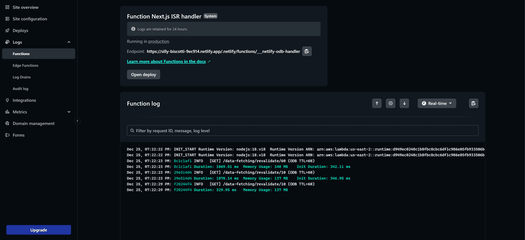 Netlify logs
