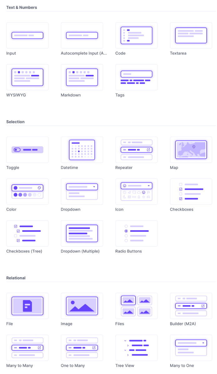 Directus fields