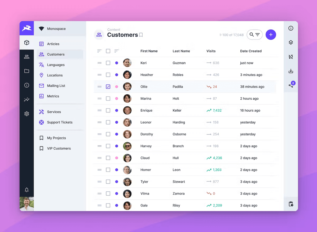 Directus interface