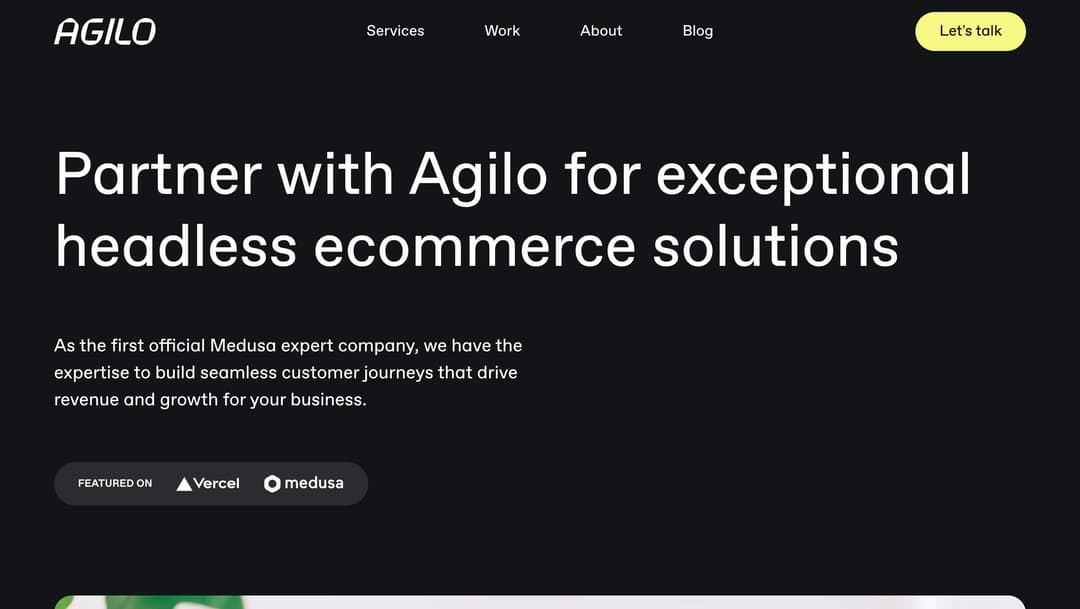 Agilo website header with navigation menu and headline text reading "Partner with Agilo for exceptional headless ecommerce so