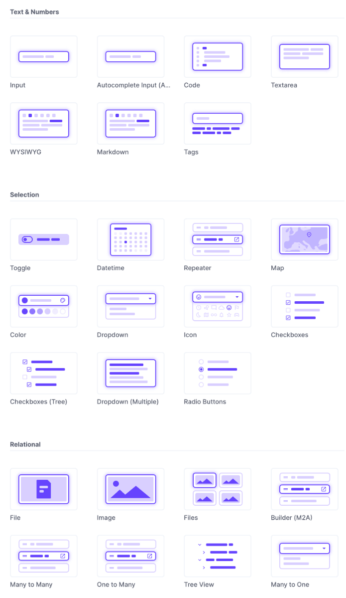 Directus fields