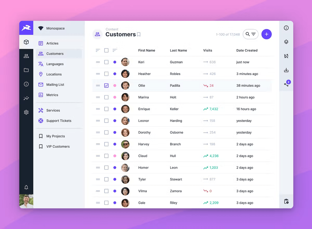 Directus interface