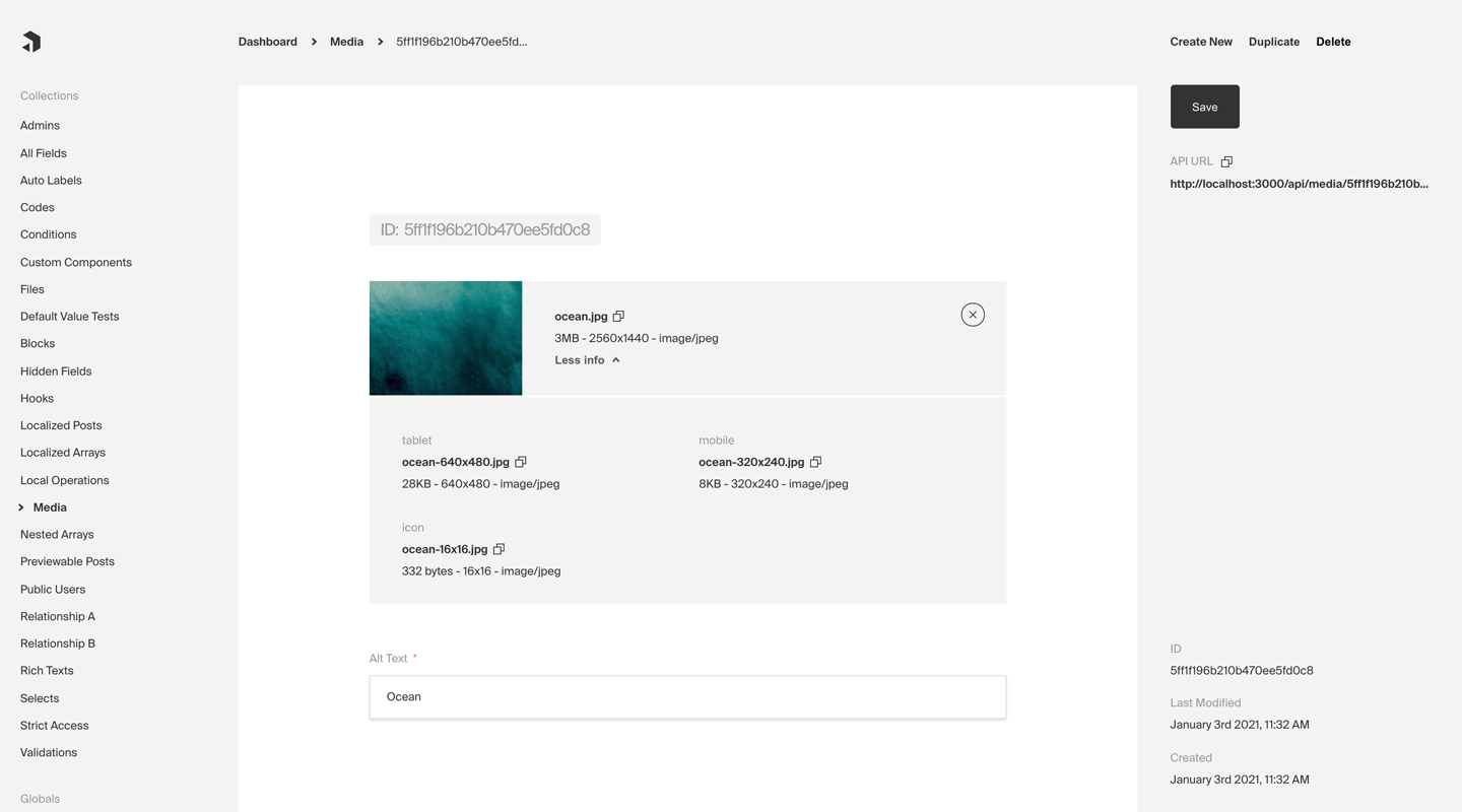 Payload CMS interface